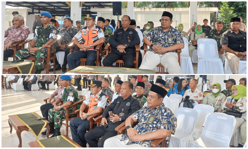 12 3 2026 Apel Toba compress