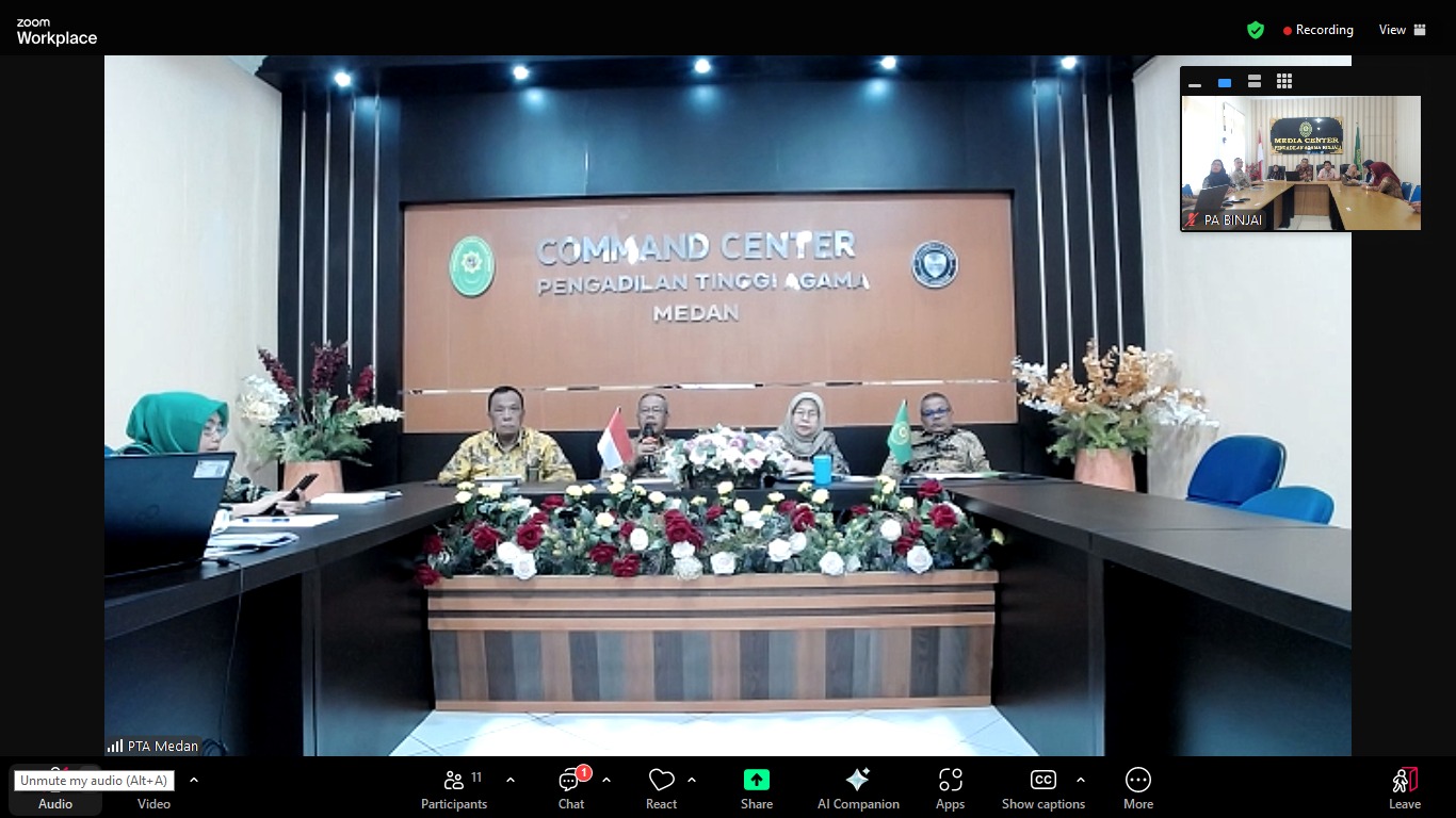 2025 04 11 zoom ZI 2