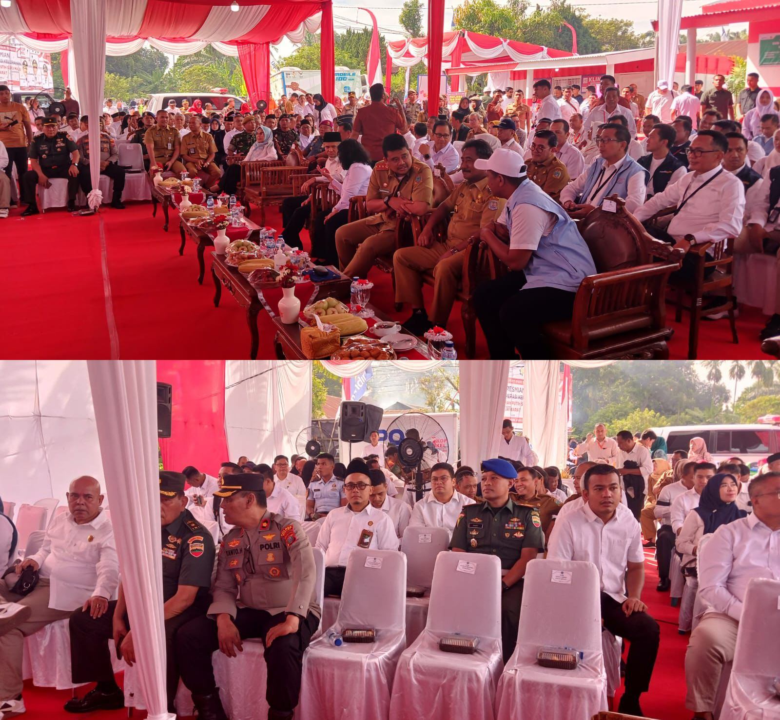 koperasi merah putih